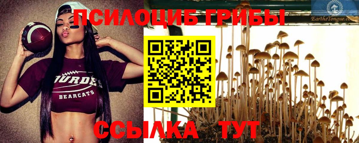 Псилоцибиновые грибы прущие грибы  Вход с VPN  Галлюциногенные грибы Psilocybe  Зеленокумск 