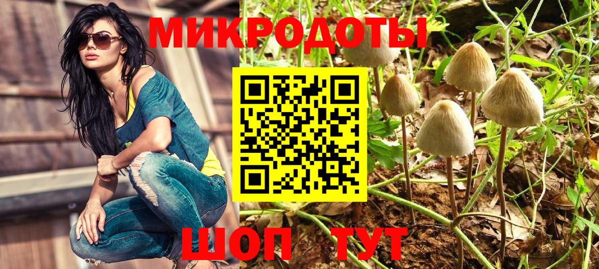 Псилоцибиновые грибы мицелий Зеленокумск